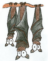 Bats Taken from an article Karst World